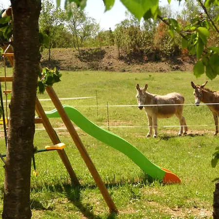Domaine De Rochebelle Bed and breakfast 4*