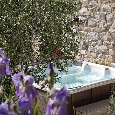 Domaine De Rochebelle