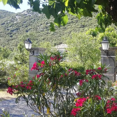 Domaine De Rochebelle