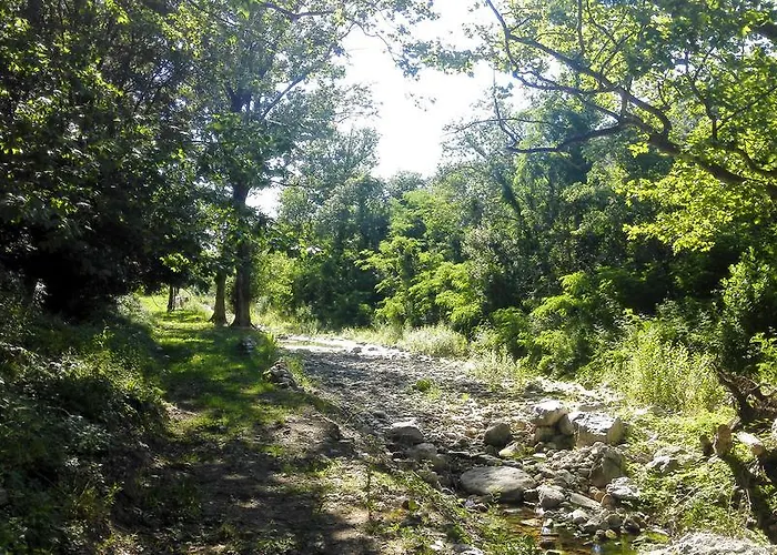 Domaine De Rochebelle