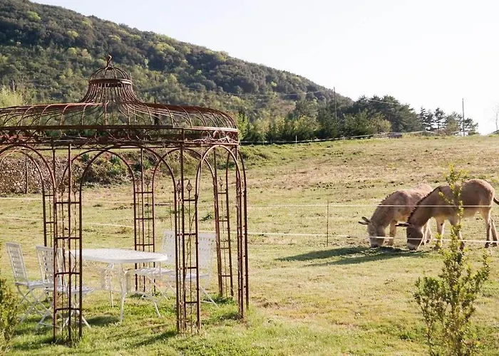 Domaine De Rochebelle Bed & Breakfast